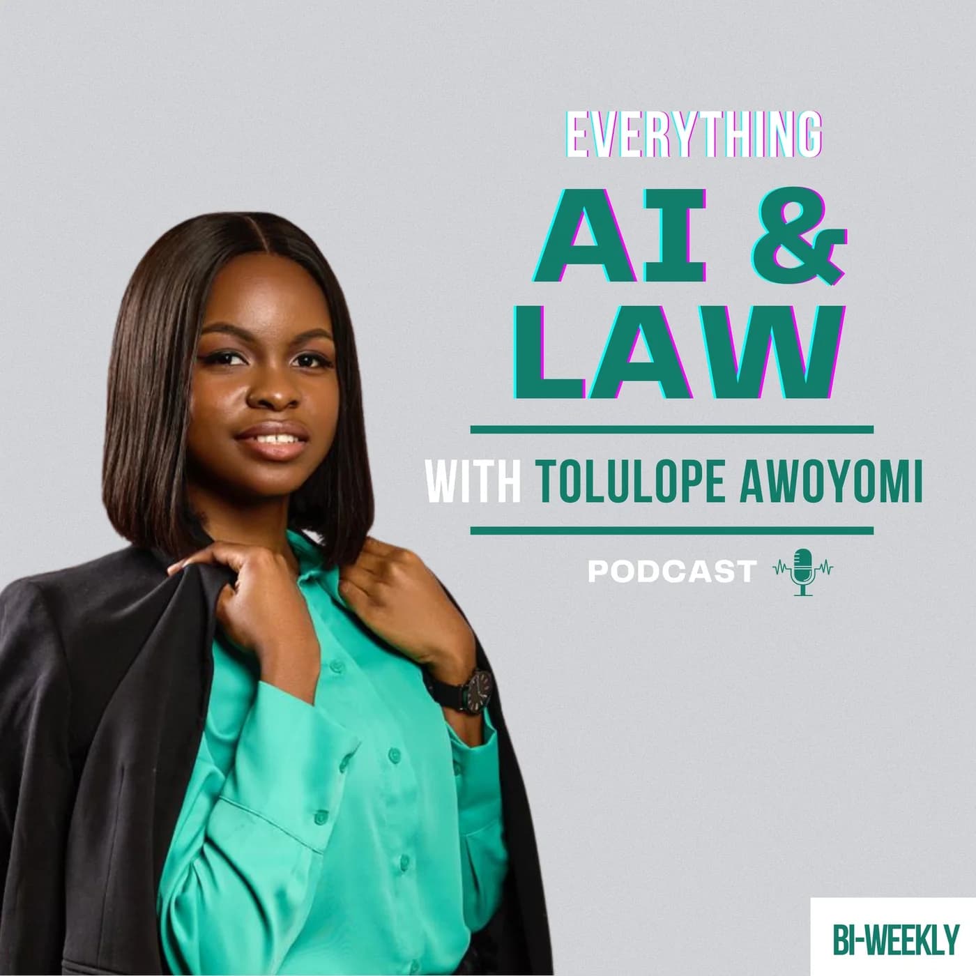 Everything AI & Law Podcast